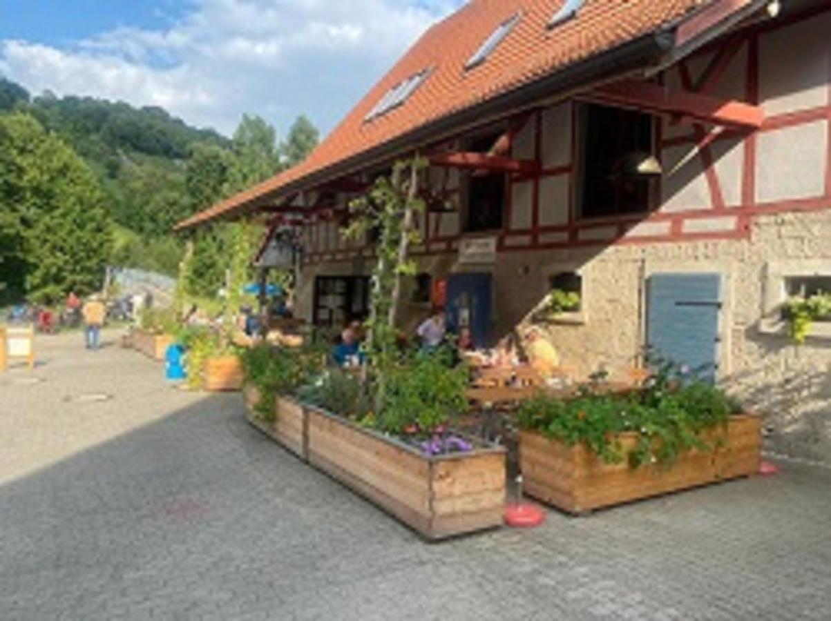 Gasthaus Holdermuehle Креглинген Экстерьер фото