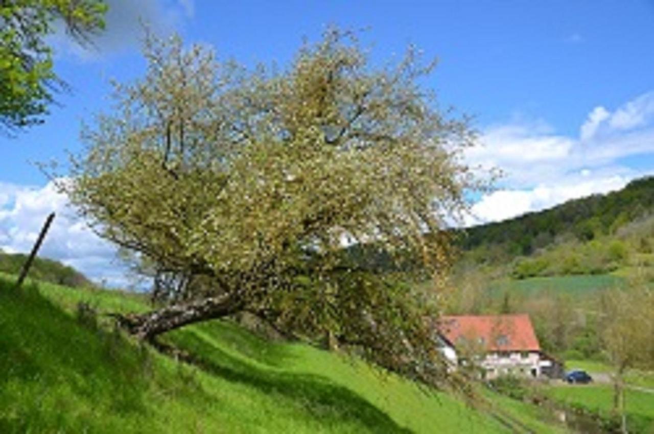 Gasthaus Holdermuehle Креглинген Экстерьер фото